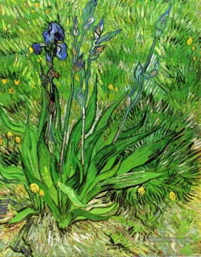  vincent peintre - L’Iris Vincent van Gogh